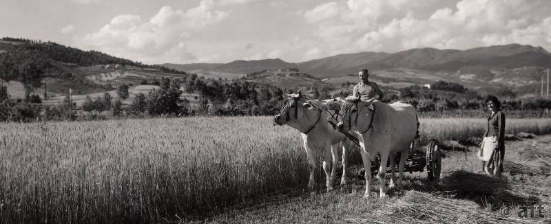 immagine della sezione del Catalogo: Toscana per immagini 
