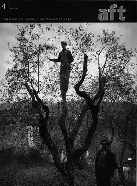 Copertina rivista n. 41 - uomo arrampicato su un albero