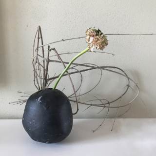 Foto a colori opera Pigmenta 1