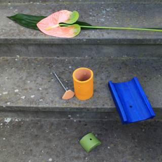 Foto a colori opera Pigmenta 6