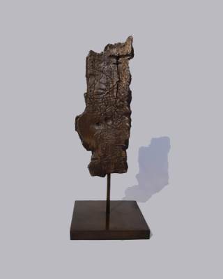 Foto a colori opera Anthill IV