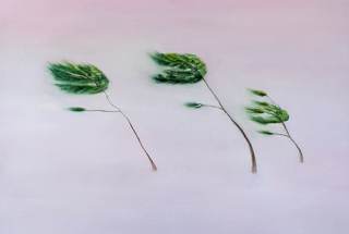 Foto a colori opera Ricordo di una giornata Estiva