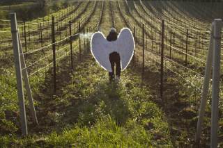 Foto a colori opera Oltre Terreno