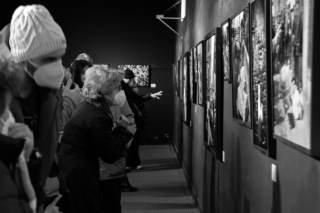 persone che guardano dei quadri ad una mostra